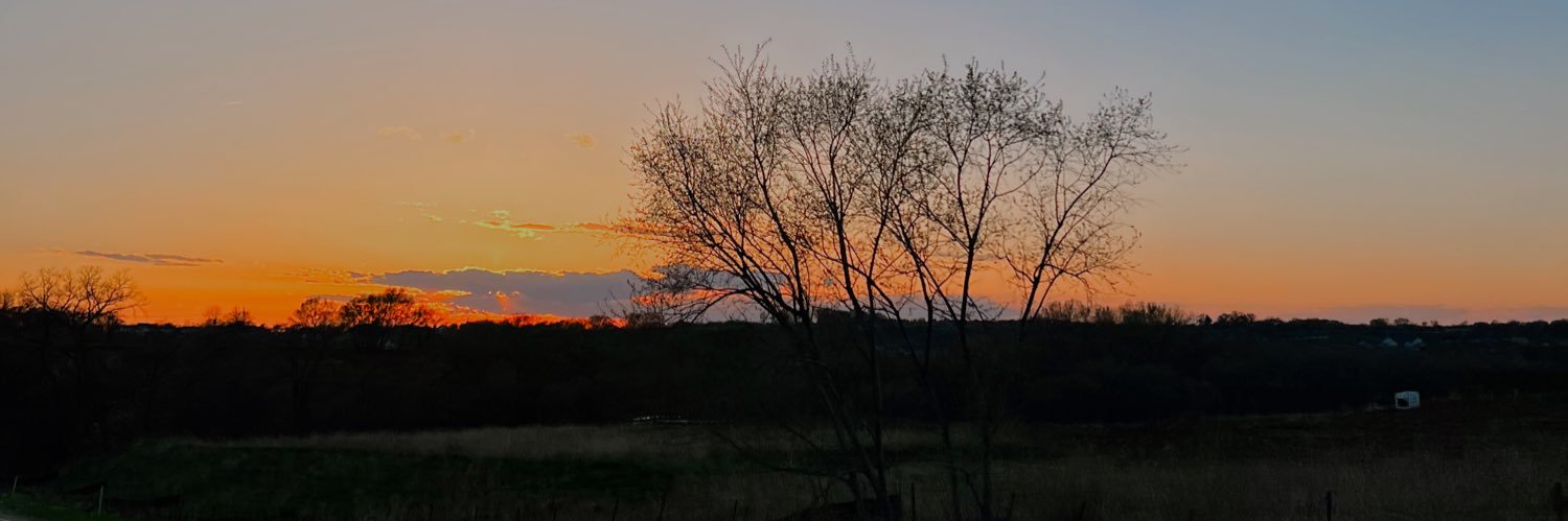 phoebelyman's profile banner image