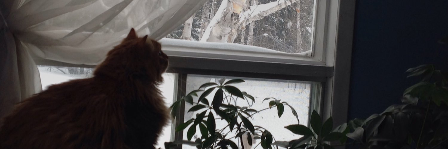 Hélène Vincent banner