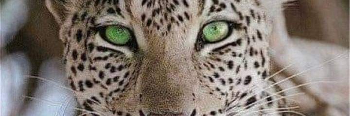 maxiht2's profile banner image