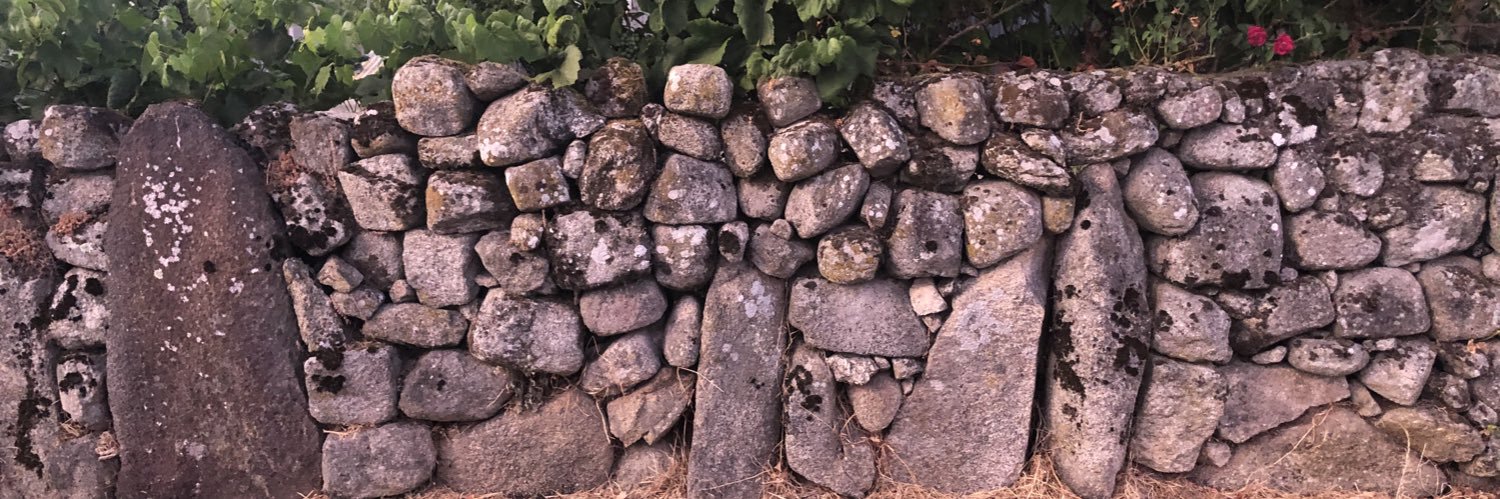 CarlosVedmar's profile banner image