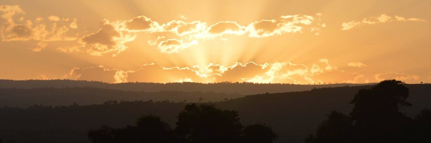 kaiaw's profile banner image