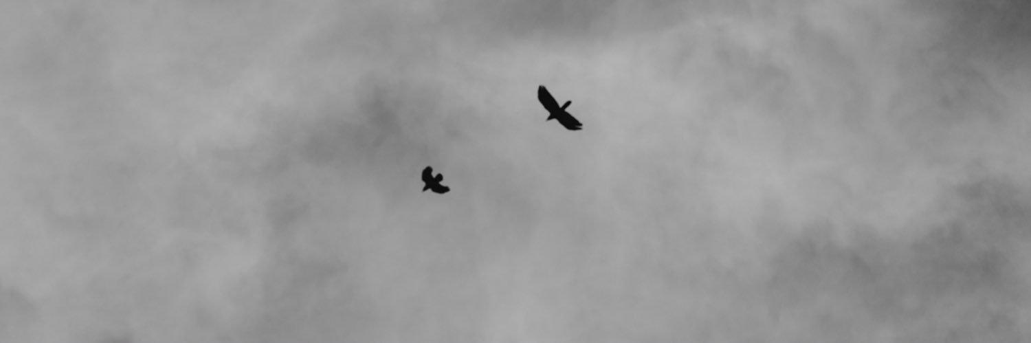 yryrkq's profile banner image