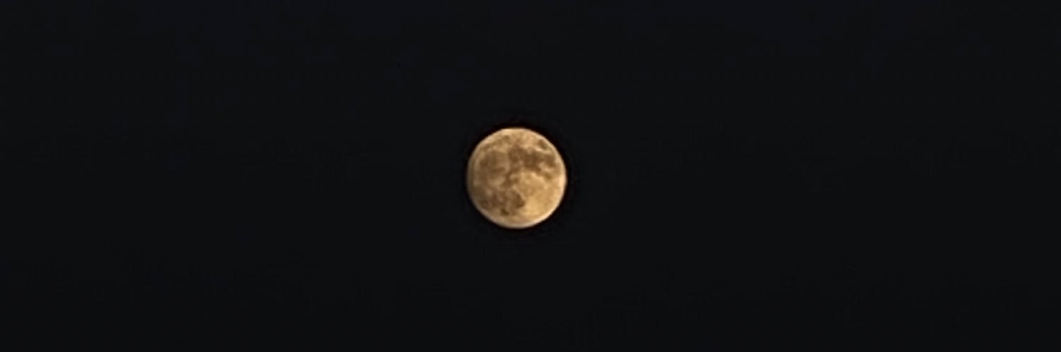 neenzzzzzz's profile banner image