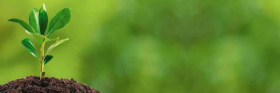 Mrobertoqa's profile banner image