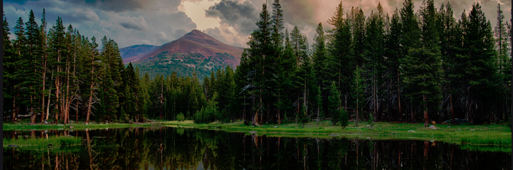 reedy_wesley's profile banner image