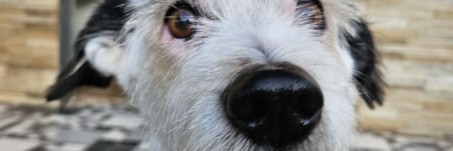 maarduartte's profile banner image