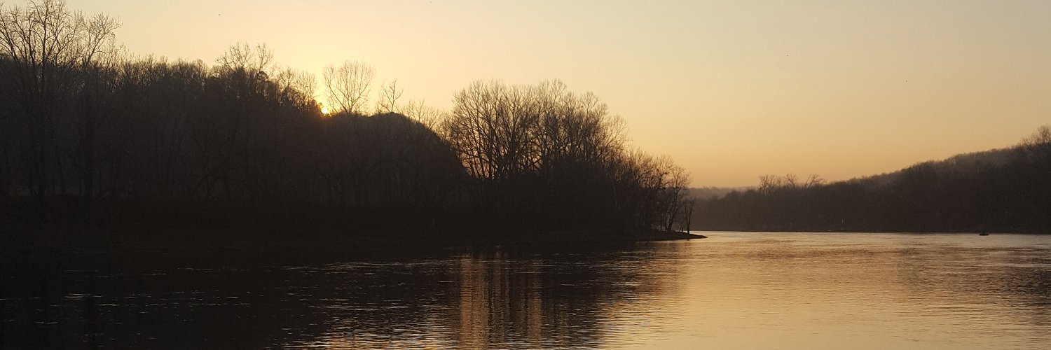 Allison Frase Reavis banner