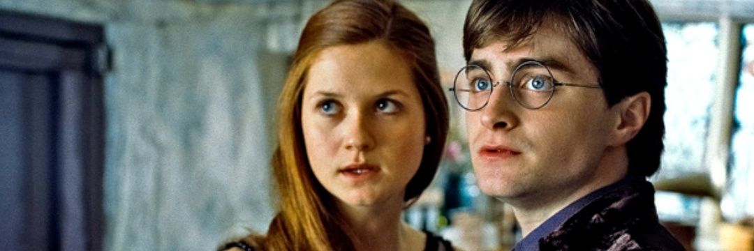 Harry Potter. Parody. banner