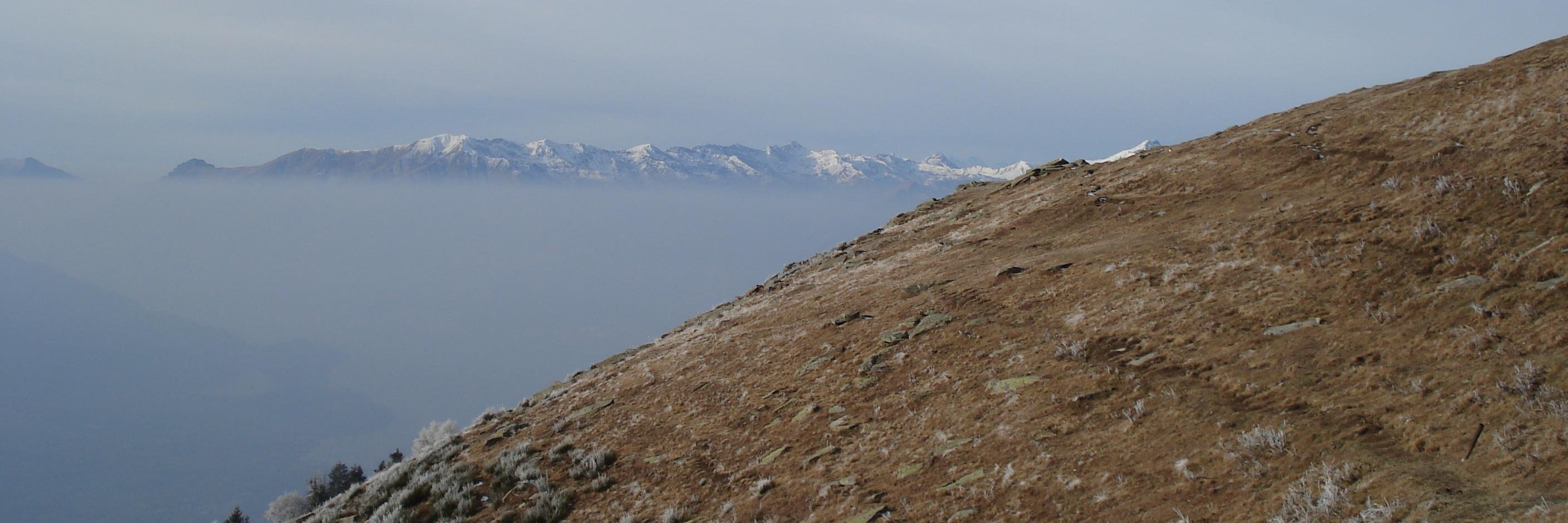 Giovanni Fosti banner