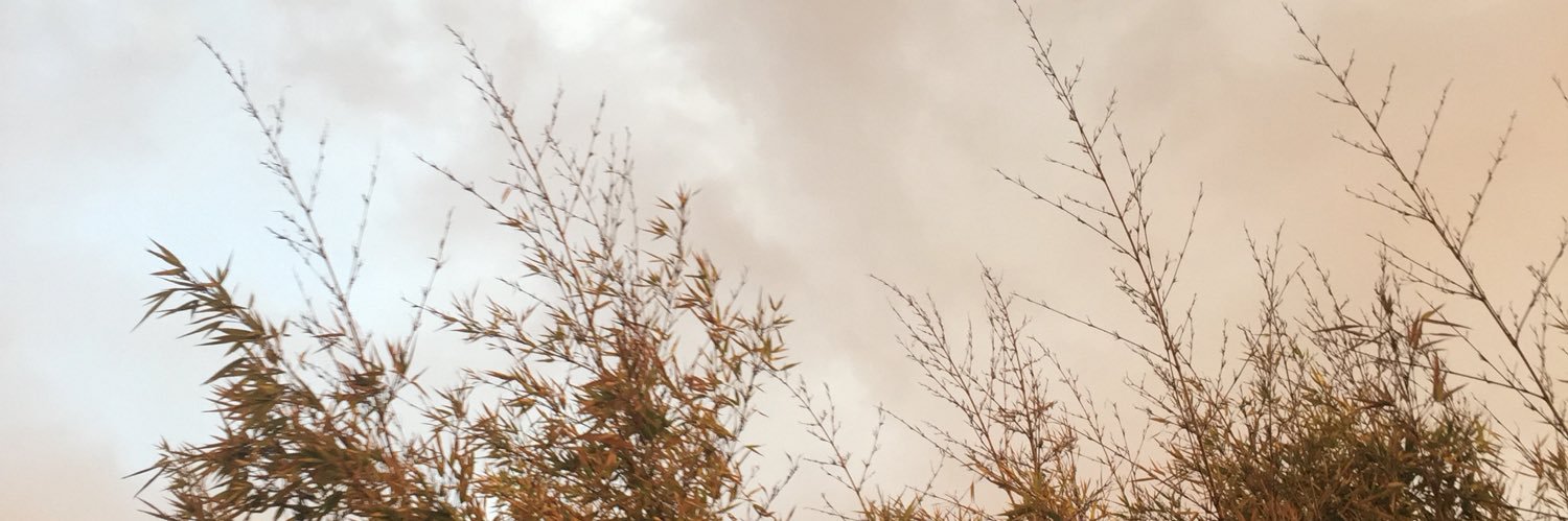 Francisco Olivos 🗽🇨🇱 banner