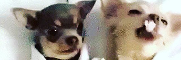 CherryMacleans Profile Banner