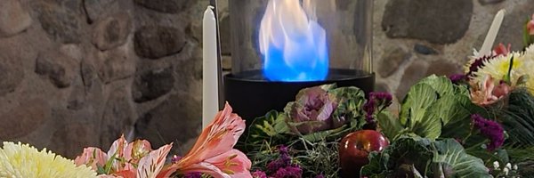 ALFA_INSUMOS Profile Banner