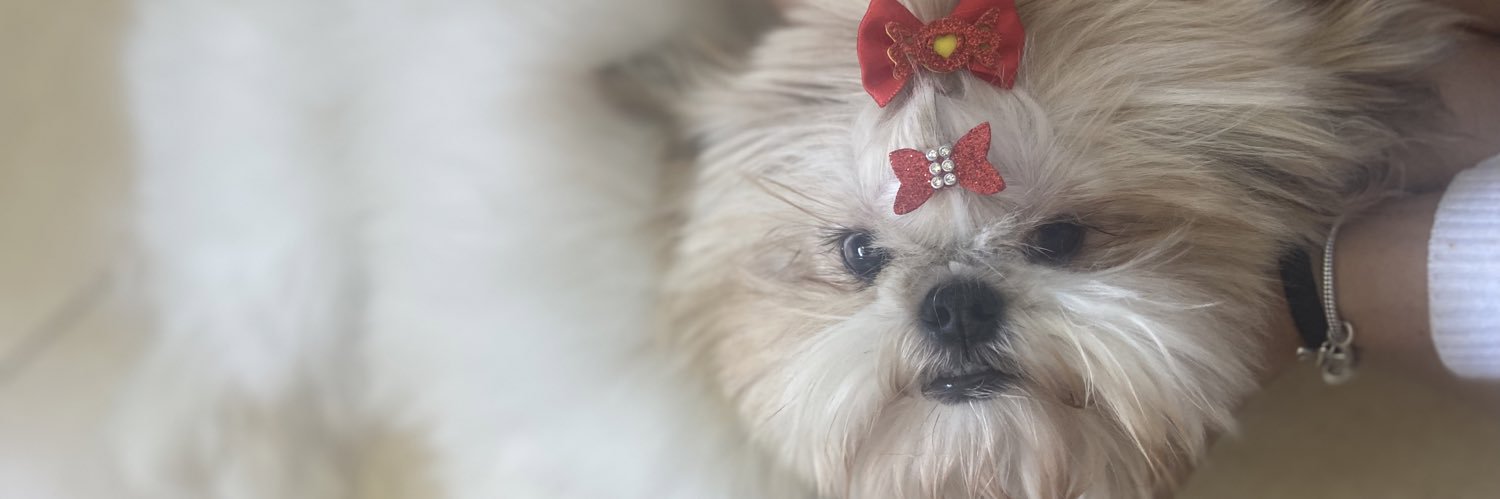 madupiloni's profile banner image