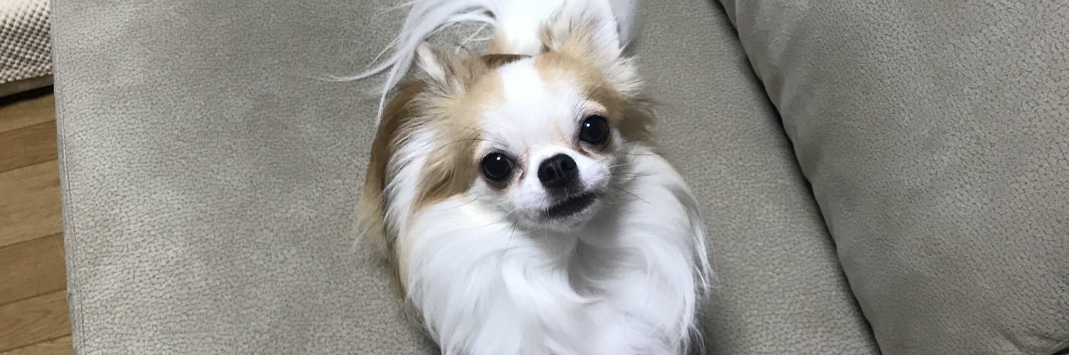ロビンちゃん banner