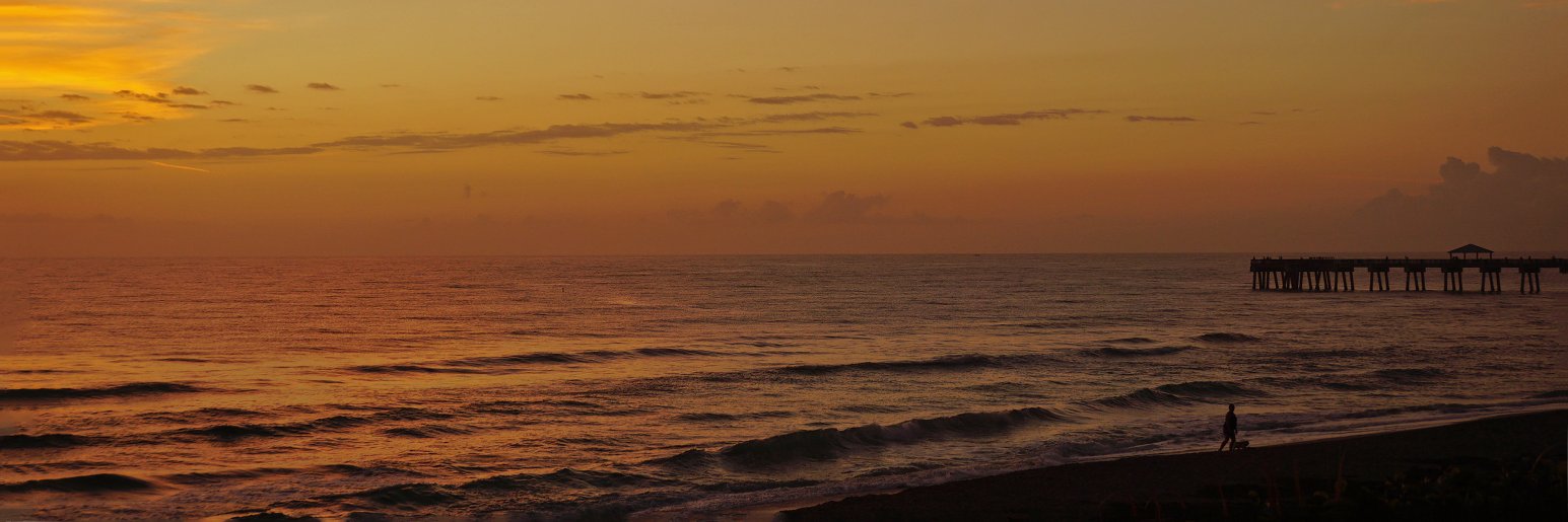 kdinflorida's profile banner image