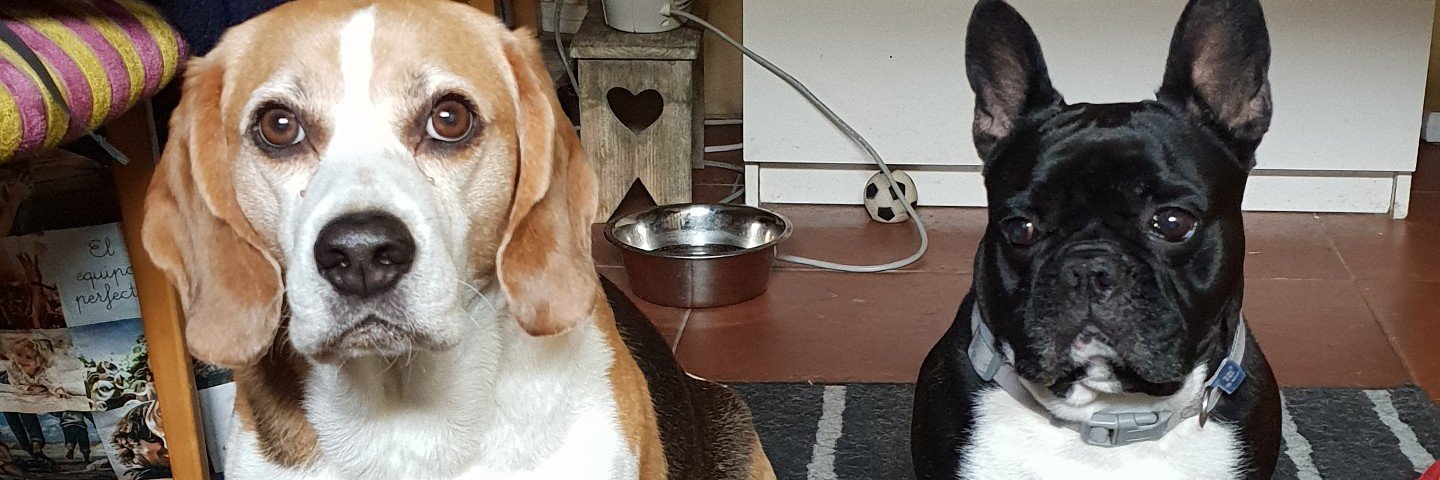 Edixon J Uzcategui P banner