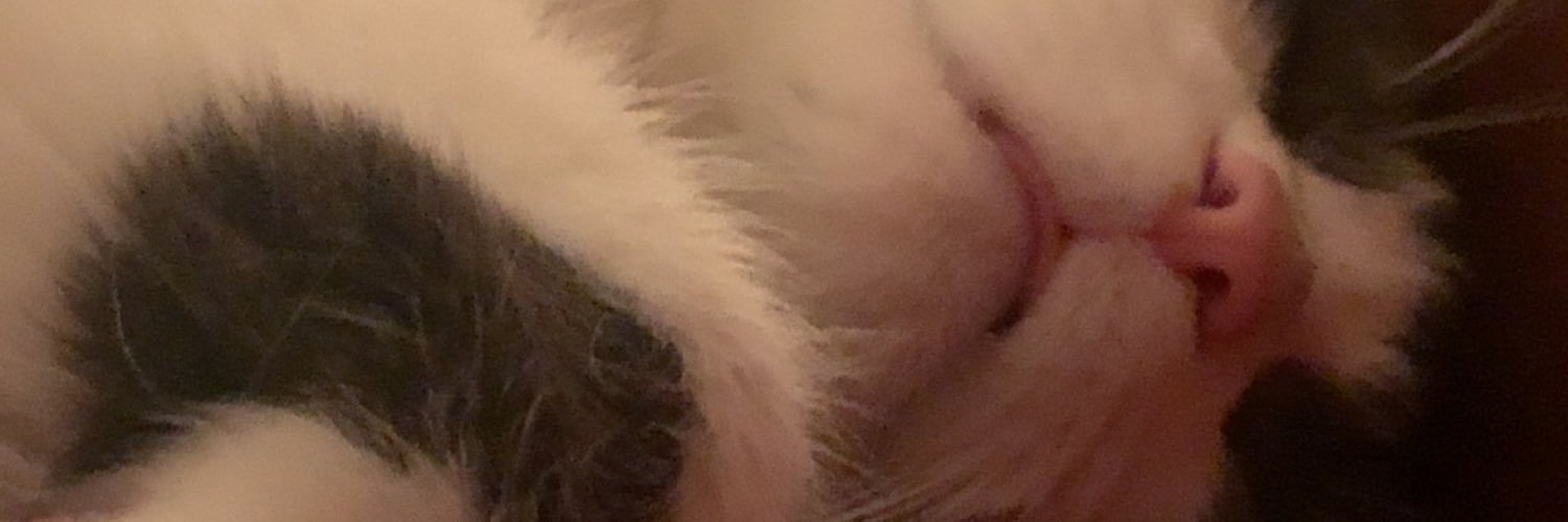 jake_vicini's profile banner image