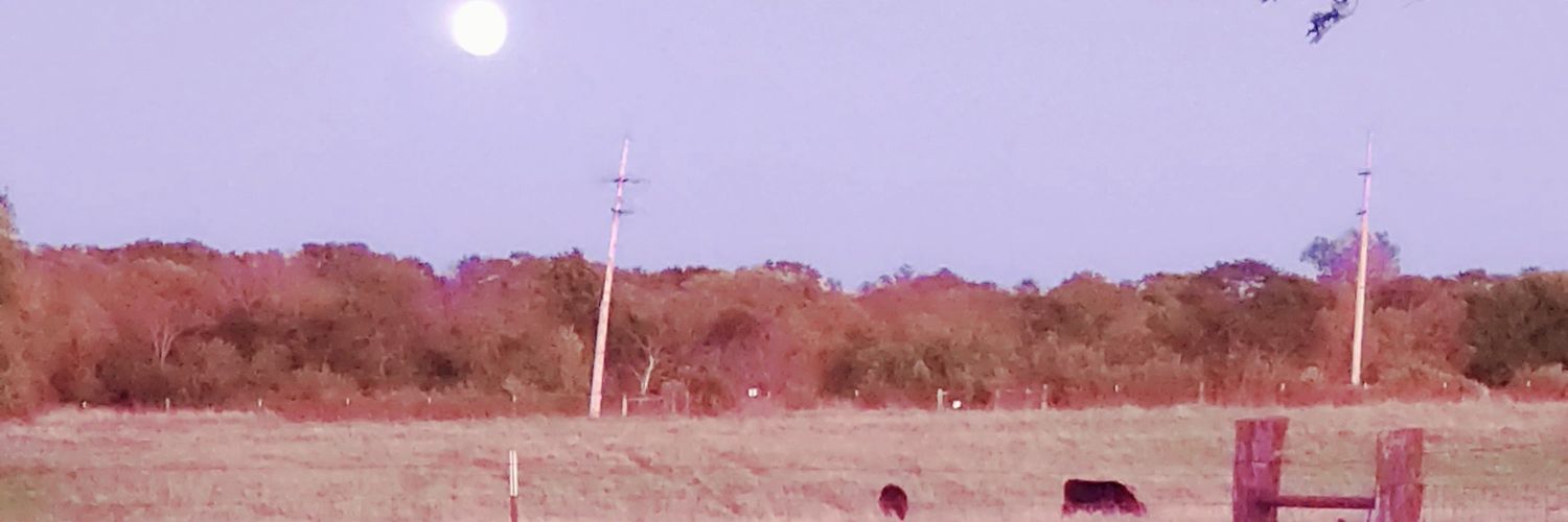 the_nine_'s profile banner image