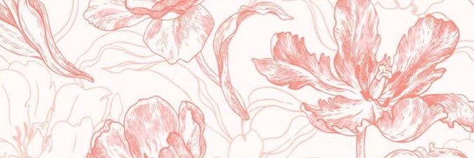 NiamhFrances's profile banner image