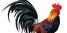 CMouth2's profile banner image