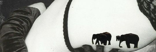 AnnesMendez's profile banner image