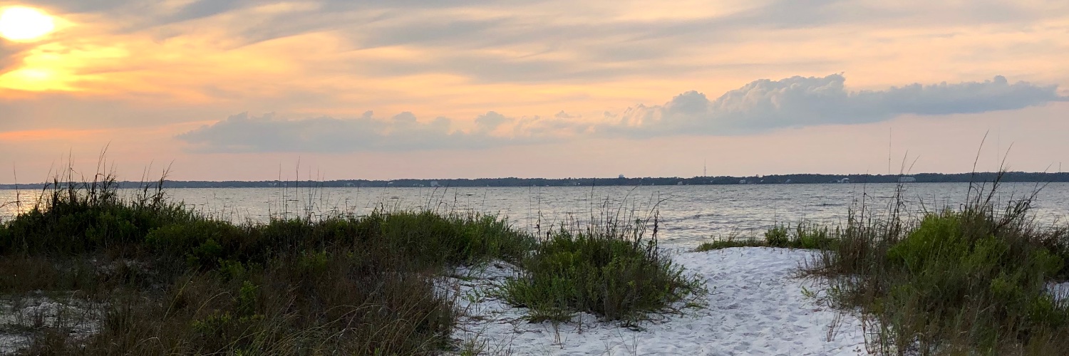 annahermelink's profile banner image