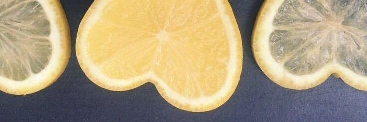 lacantaritooo's profile banner image
