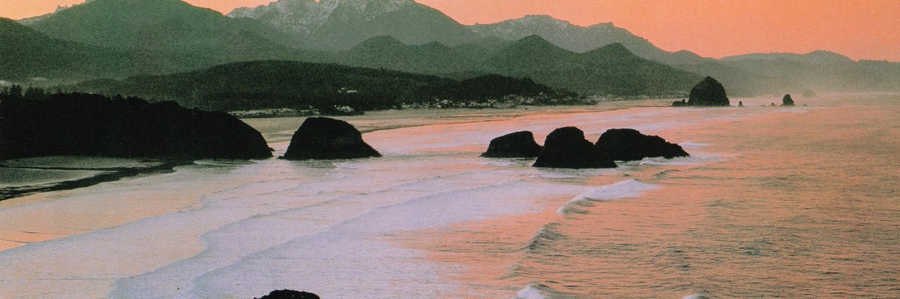 samuraijaiden's profile banner image