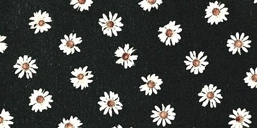 CASFADelfina's profile banner image