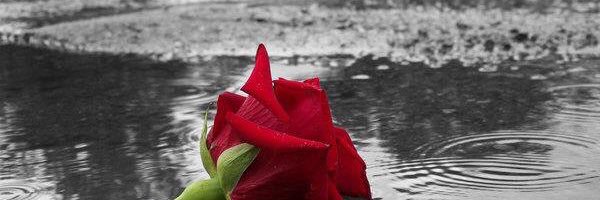Iam_lovable's profile banner image