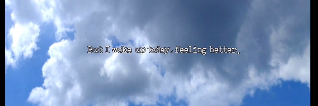 Birdpng's profile banner image