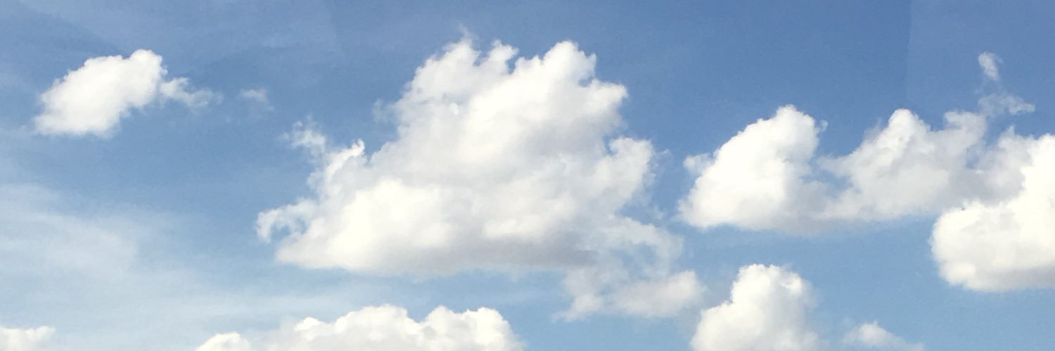 butmakeitvegan's profile banner image