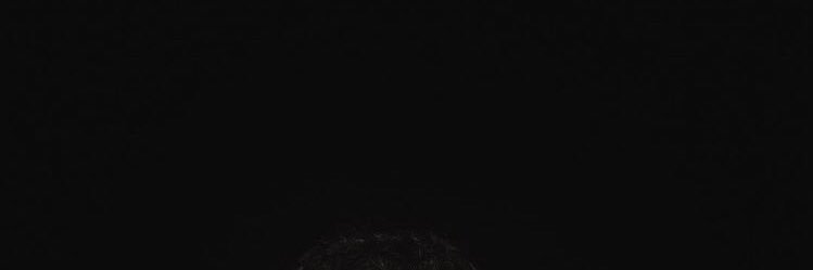 starboyolzanski's profile banner image