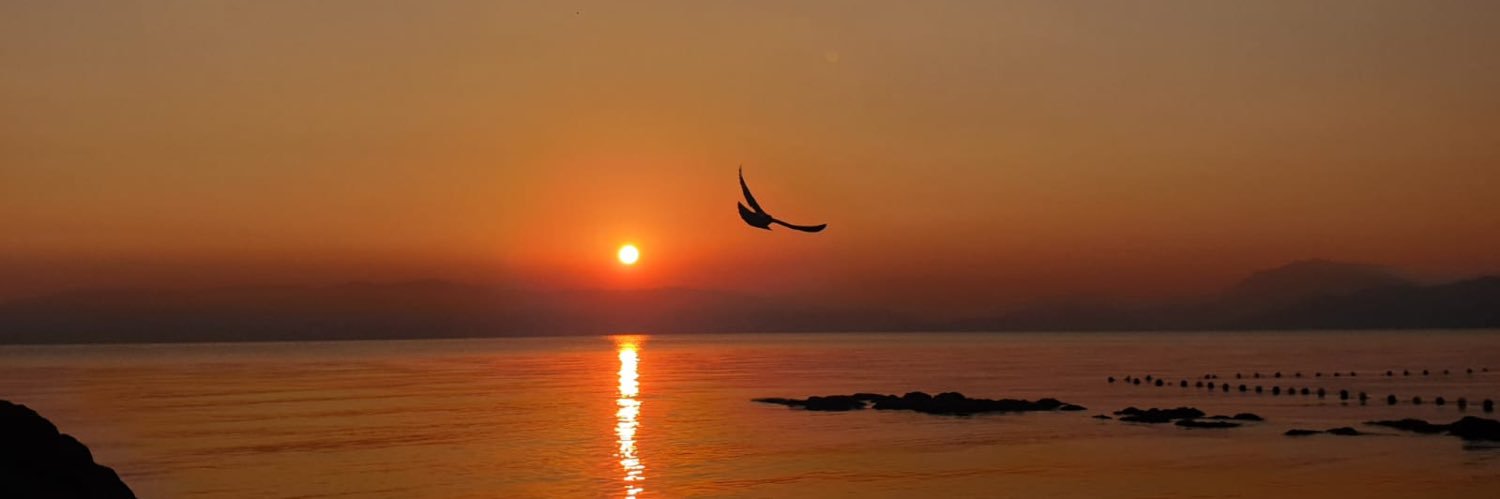 Rıdvan Köse banner