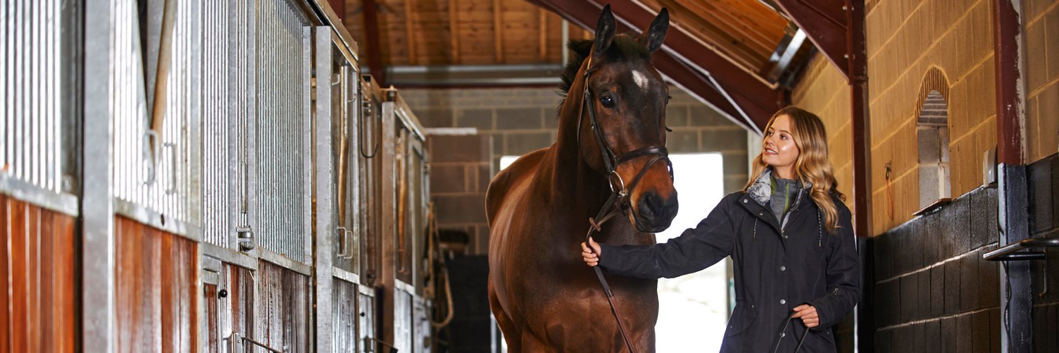 nobleequestrian's profile banner image