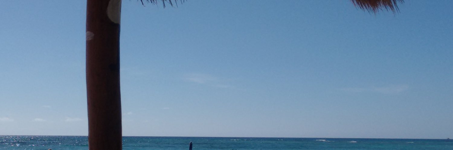 Betsa_Os's profile banner image