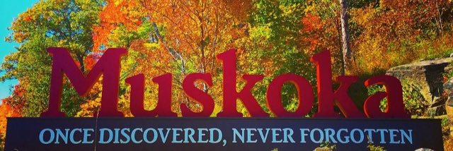 Tara Williams banner