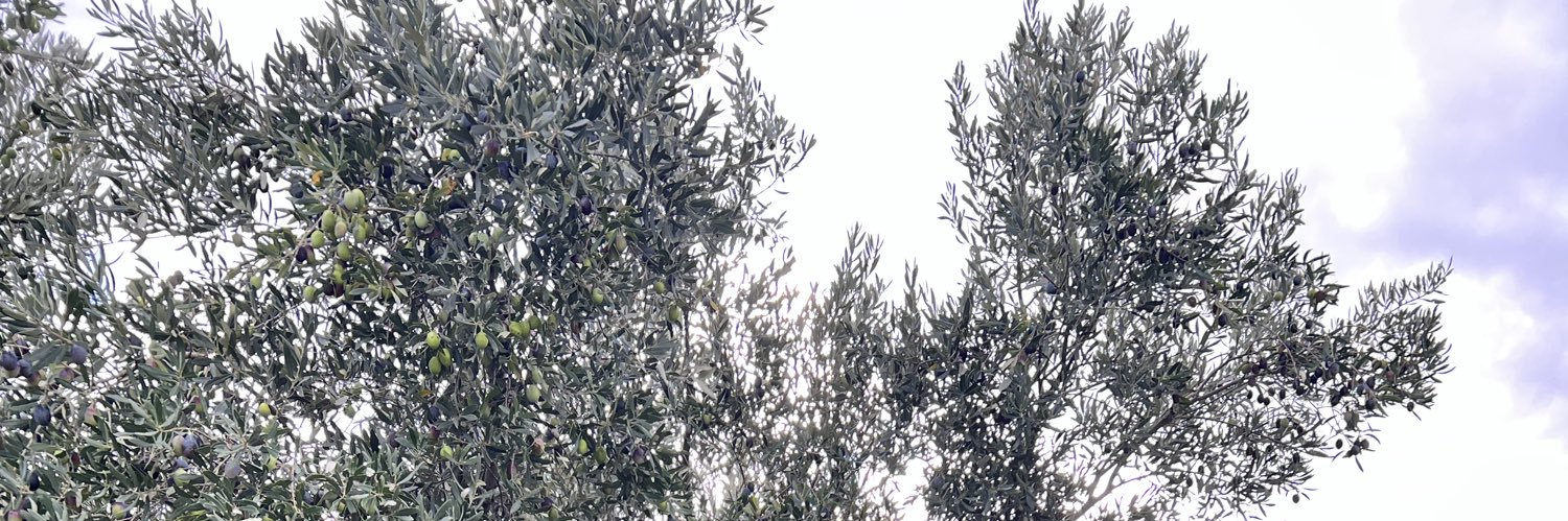 EfthimisP's profile banner image