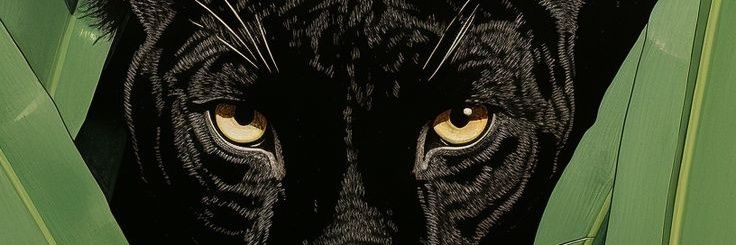 serqueiraana's profile banner image