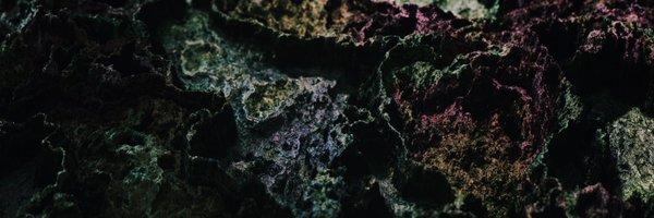 maxvoltar Profile Banner