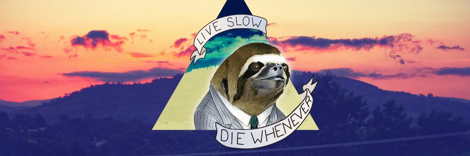 HeyItSloth's profile banner image