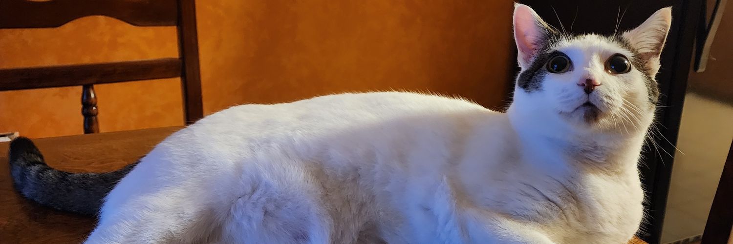 brads402's profile banner image
