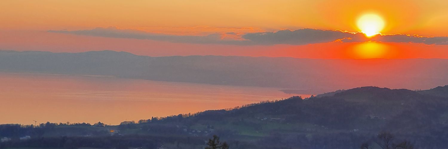 pamelavera's profile banner image