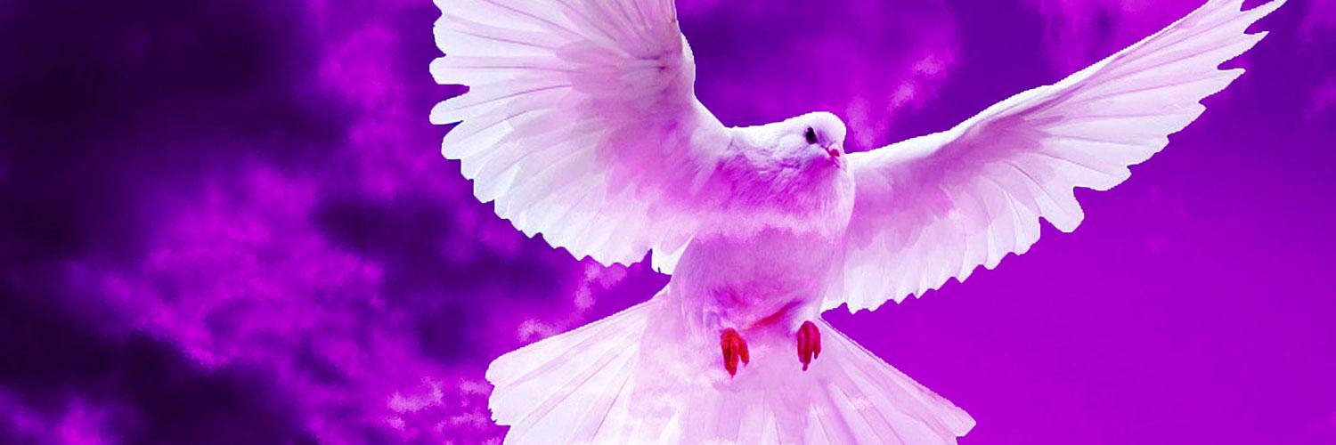 Zandrazl4's profile banner image