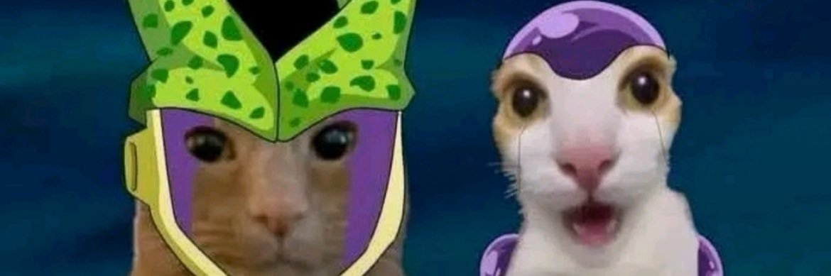 zabbynac's profile banner image
