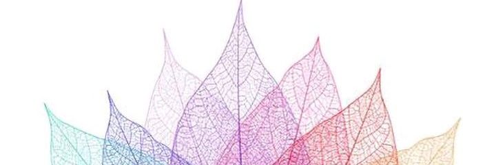 Alex Sanchez-Amaro banner