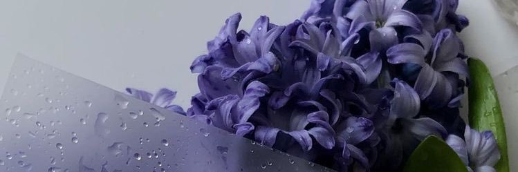 annekerova's profile banner image