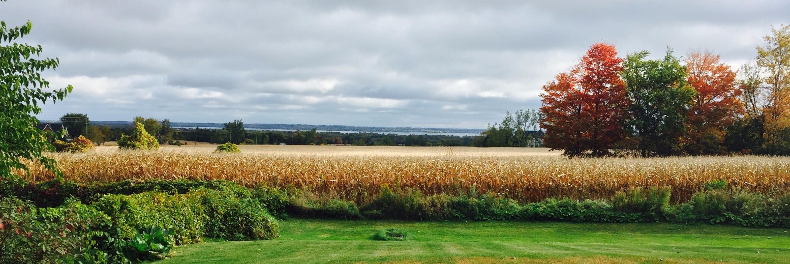 Melissa Segriff banner