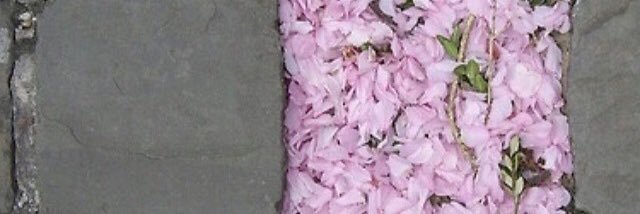 bbbx777's profile banner image