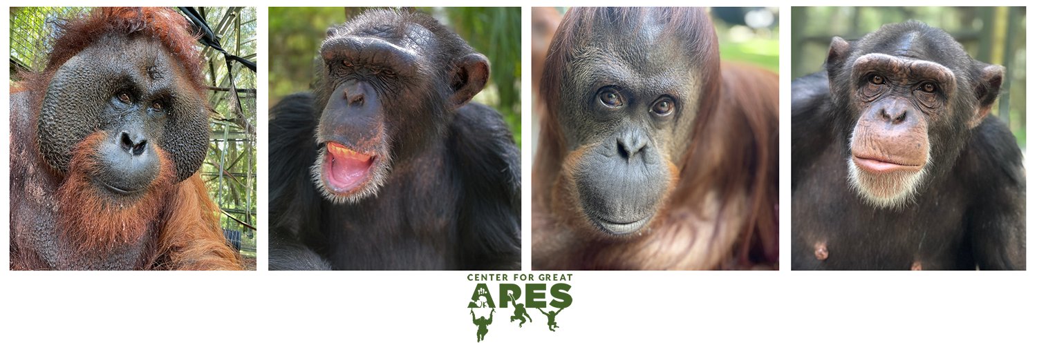 CenterForGreatApes banner